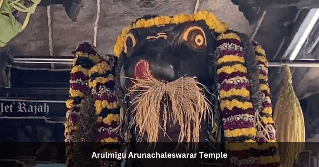 Arulmigu Arunachaleswarar Temple Photos